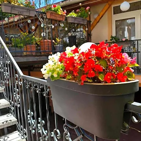 Hotel Isabell Gyor