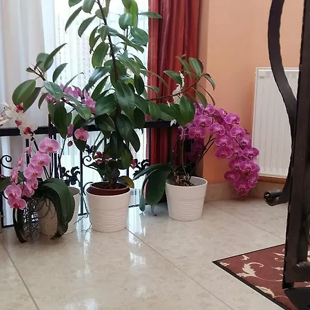 Ξενοδοχείο Isabell 3*
